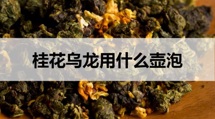 什么壺適合泡桂花烏龍茶？