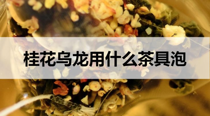 桂花烏龍用什么茶具泡？