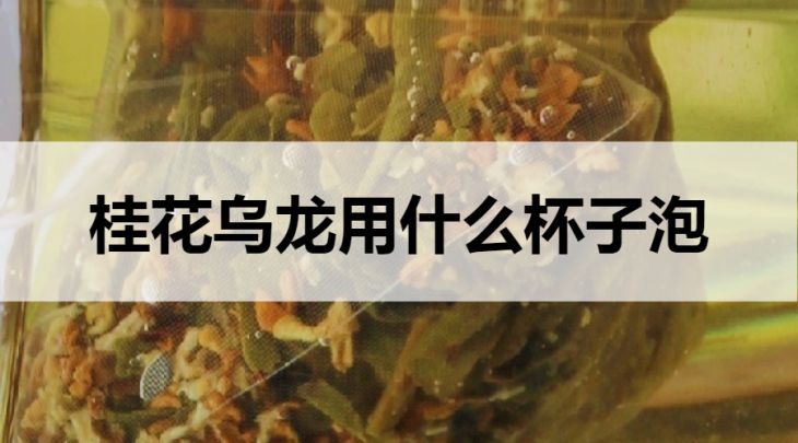 桂花烏龍茶用什么杯子泡？