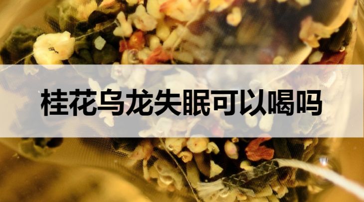 失眠可以喝桂花烏龍茶嗎？