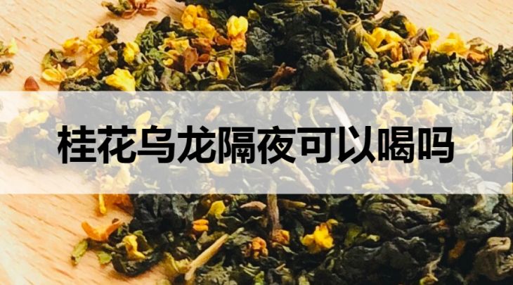 隔夜的桂花烏龍茶可以喝嗎？