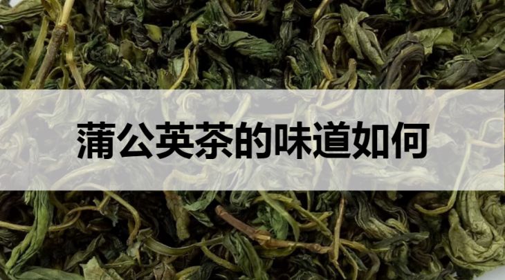 蒲公英茶的味道如何？