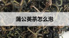 蒲公英茶怎么泡？