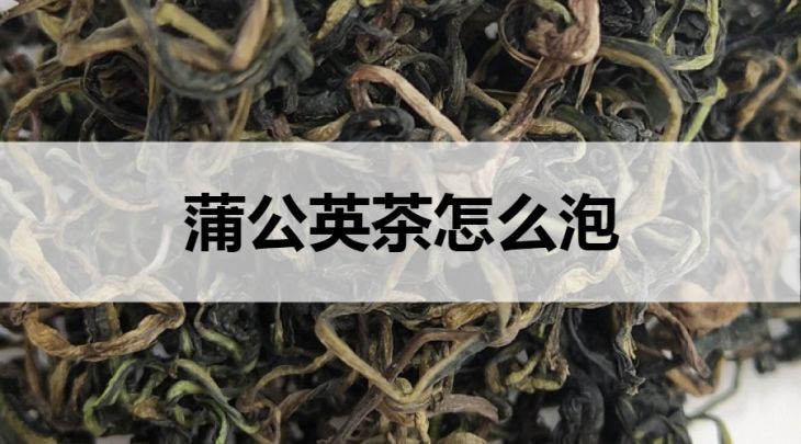 蒲公英茶怎么泡？