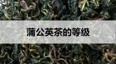 蒲公英茶的等級(jí)劃分