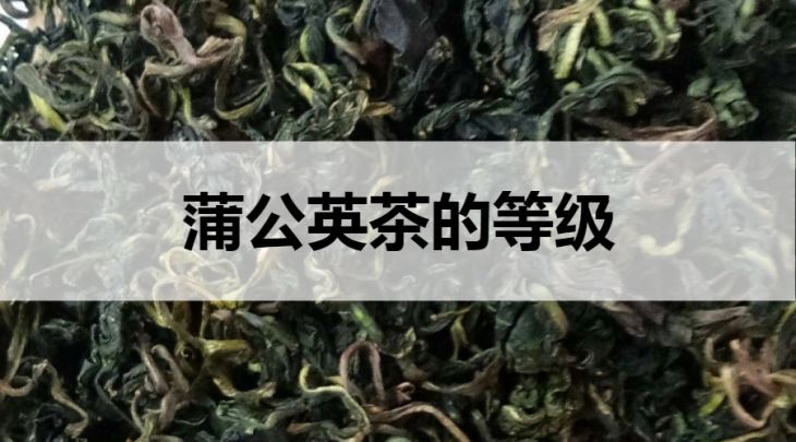 蒲公英茶的等級劃分