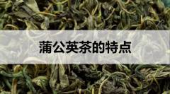 蒲公英茶的特點(diǎn)有哪些？