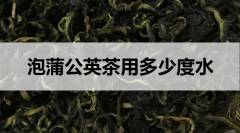 泡蒲公英茶用多少度水？