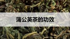 蒲公英茶的功效有哪些？