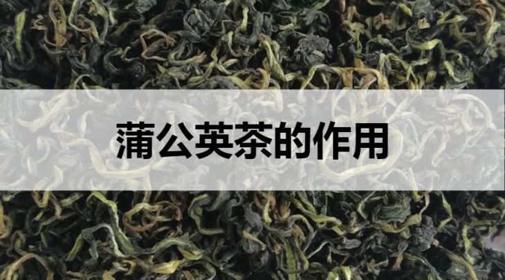 蒲公英茶的作用有哪些？