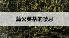 蒲公英茶的禁忌有哪些？