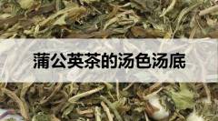 蒲公英茶的湯色湯底什么樣？