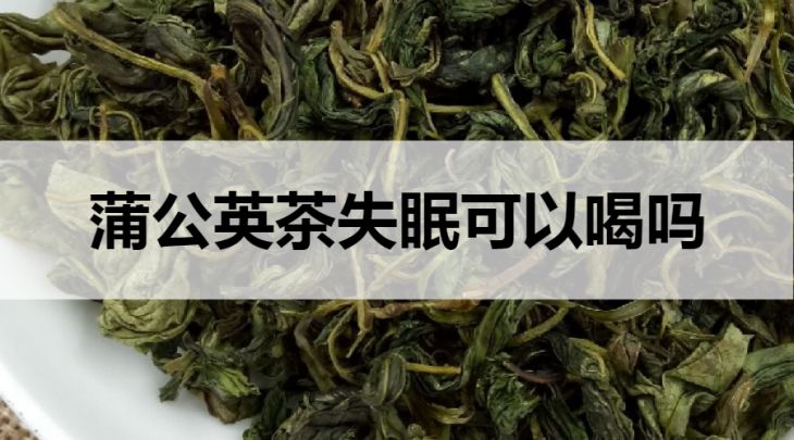 蒲公英茶失眠可以飲用嗎？