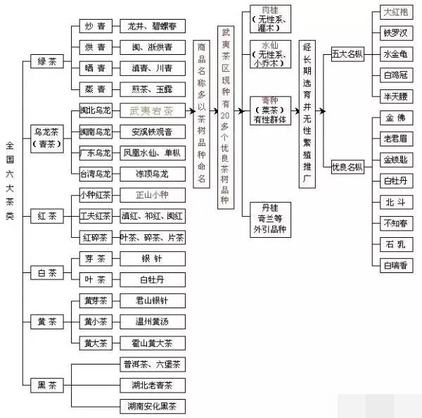 茶葉分類知識一覽圖_六大茶類基本知識大全