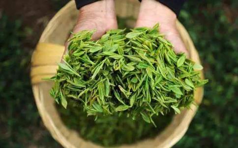 如何辨別春茶、夏茶和秋茶？