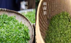 明前茶和雨前茶的區(qū)別是什么？