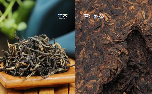 紅茶與普洱熟茶的區(qū)別（圖）