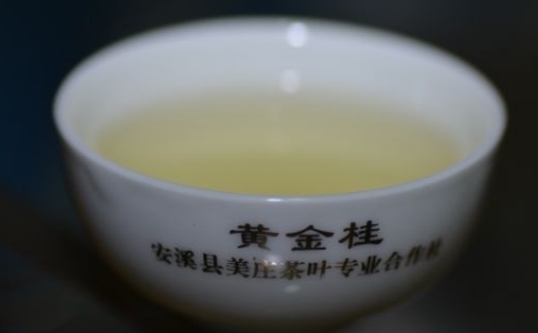 黃金桂是閩南烏龍嗎？黃金桂的茶樹品種與特點(diǎn)