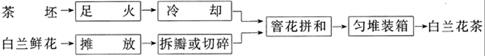 白蘭花茶是什么茶？白蘭花茶介紹