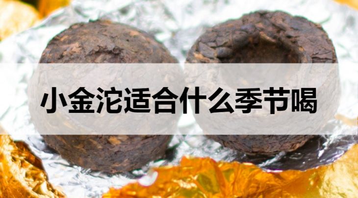 哪個(gè)季節(jié)適合喝小金沱茶？