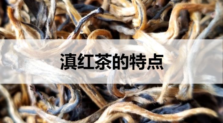 滇紅茶的特點(diǎn)有哪些？