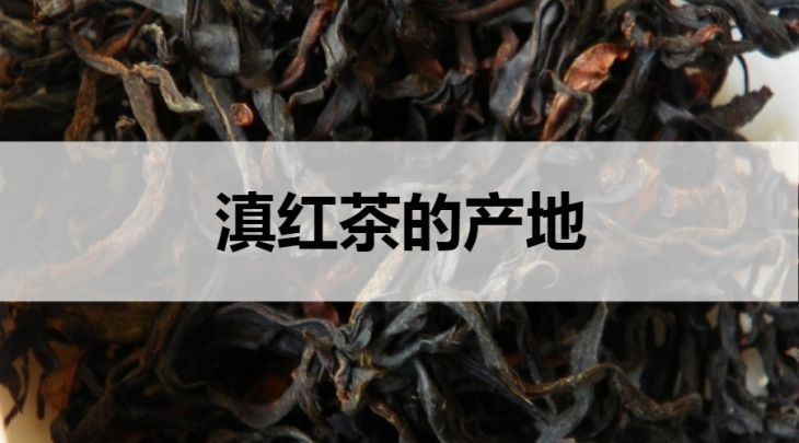 滇紅茶的產(chǎn)地在哪里？