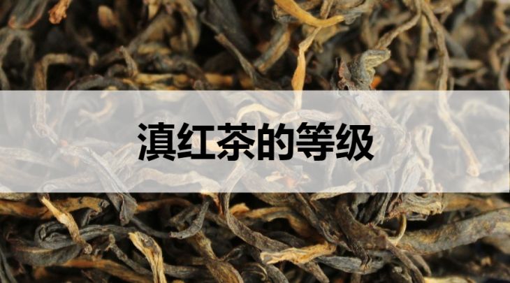 滇紅茶的等級(jí)劃分