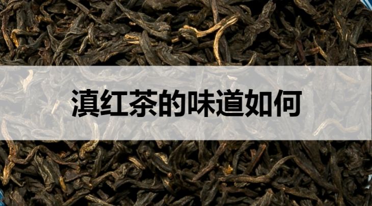 滇紅茶的味道如何？