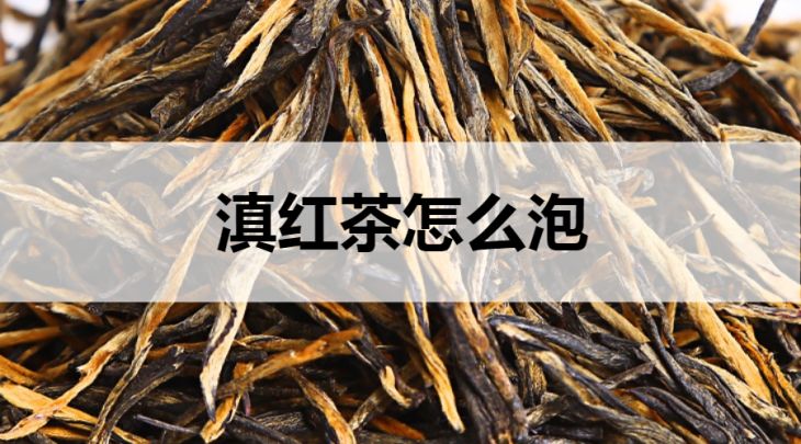 滇紅茶怎么泡？