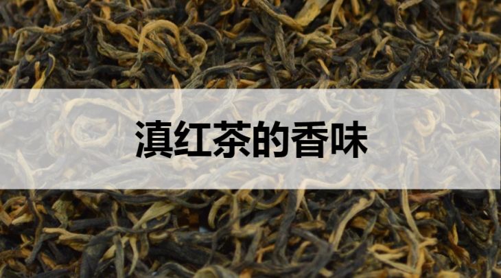 滇紅茶的香氣什么樣？