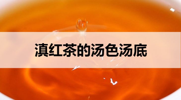 滇紅茶的湯色湯底什么樣？