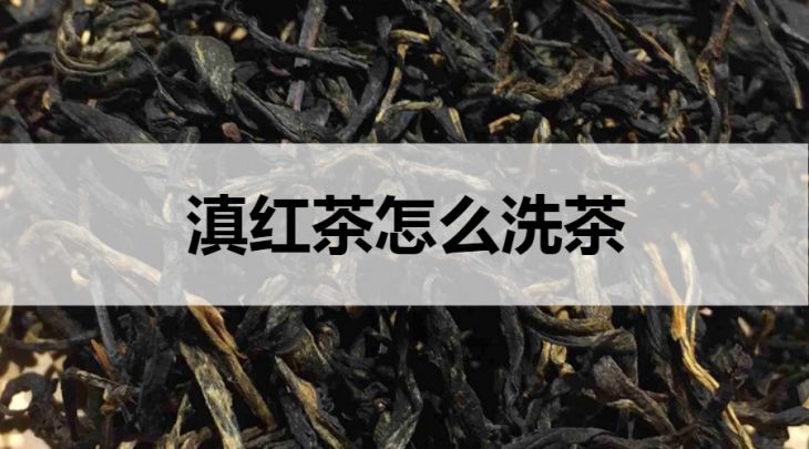 滇紅茶怎么洗茶？