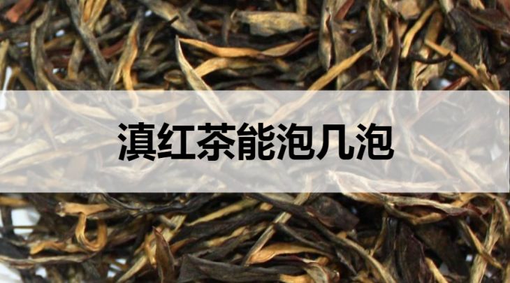 滇紅茶能泡幾泡？