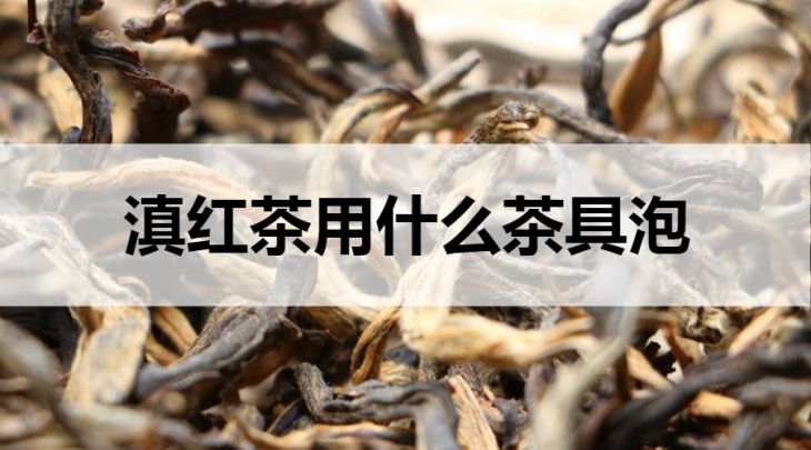 滇紅茶適合什么茶具泡？