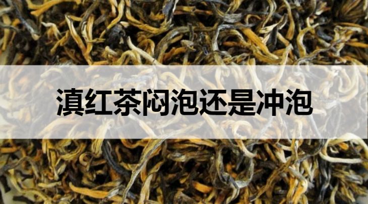 滇紅茶悶泡還是沖泡？