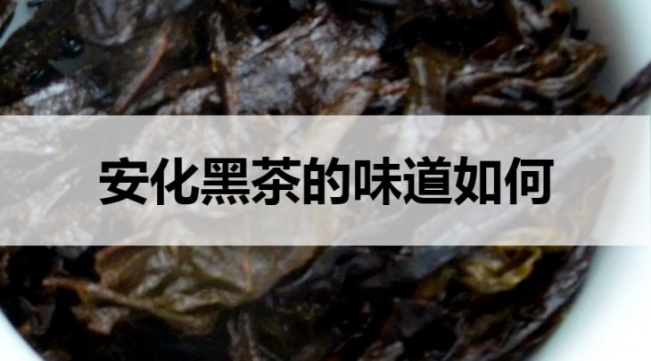 安化黑茶的味道如何？