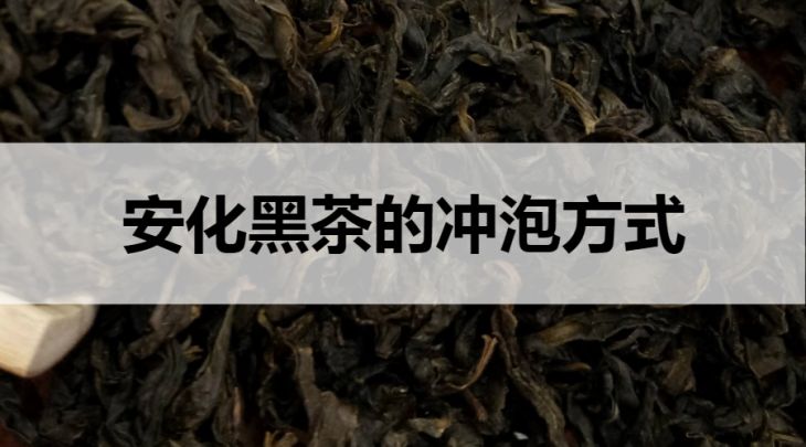 安化黑茶的沖泡方式