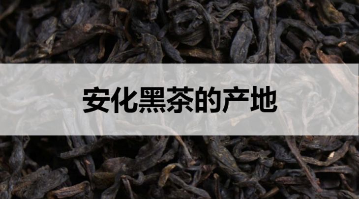 安化黑茶的產(chǎn)地在哪里？