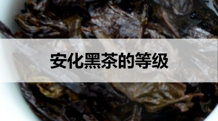 安化黑茶的等級劃分