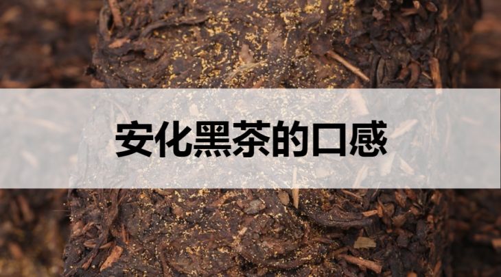 安化黑茶的口感怎么樣？