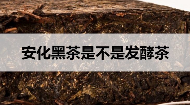 安化黑茶是不是發(fā)酵茶？