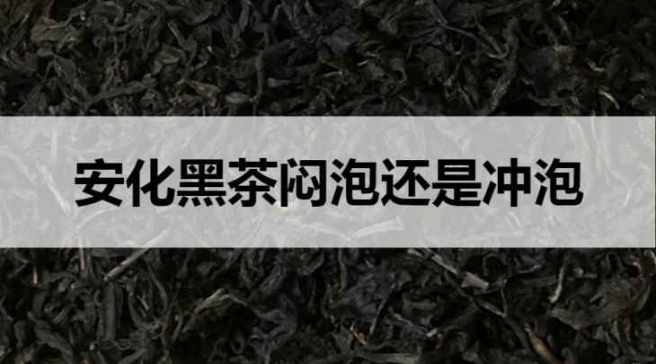 安化黑茶悶泡還是沖泡？