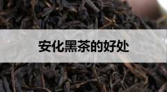 安化黑茶的好處有哪些？