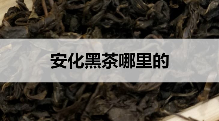 安化黑茶是哪里的？