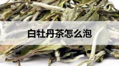 白牡丹茶怎么泡？附過程步驟