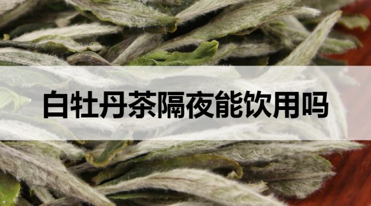 白牡丹茶隔夜能喝嗎？