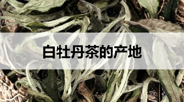 白牡丹茶的產(chǎn)地在哪里？