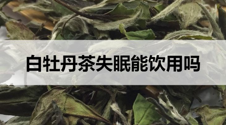 白牡丹茶失眠可以飲用嗎？