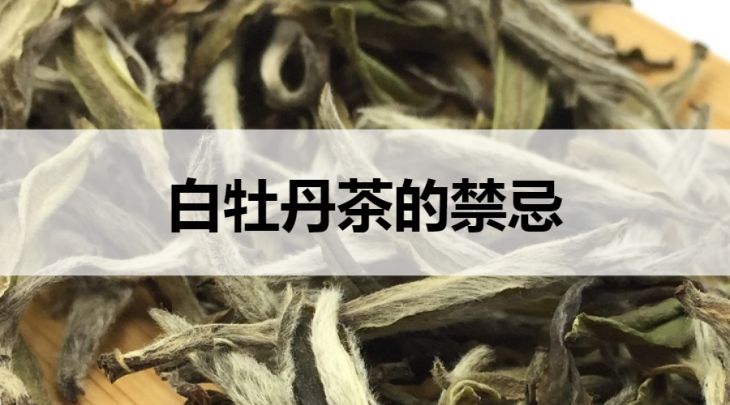 白牡丹茶的禁忌有哪些？