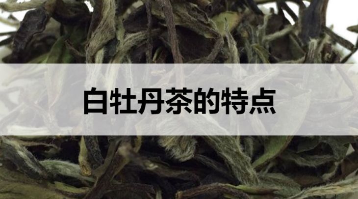 白牡丹茶的特點(diǎn)有哪些？